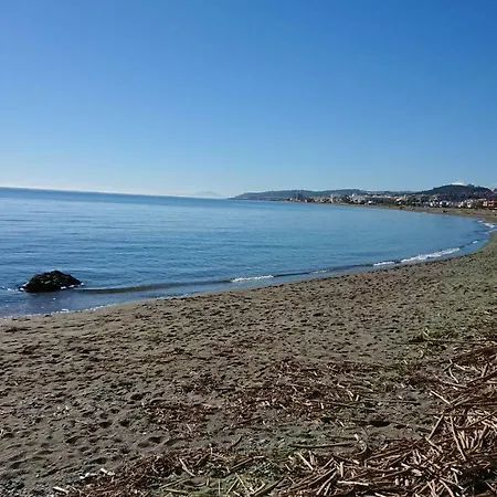 Estrella De La Bahia Casares